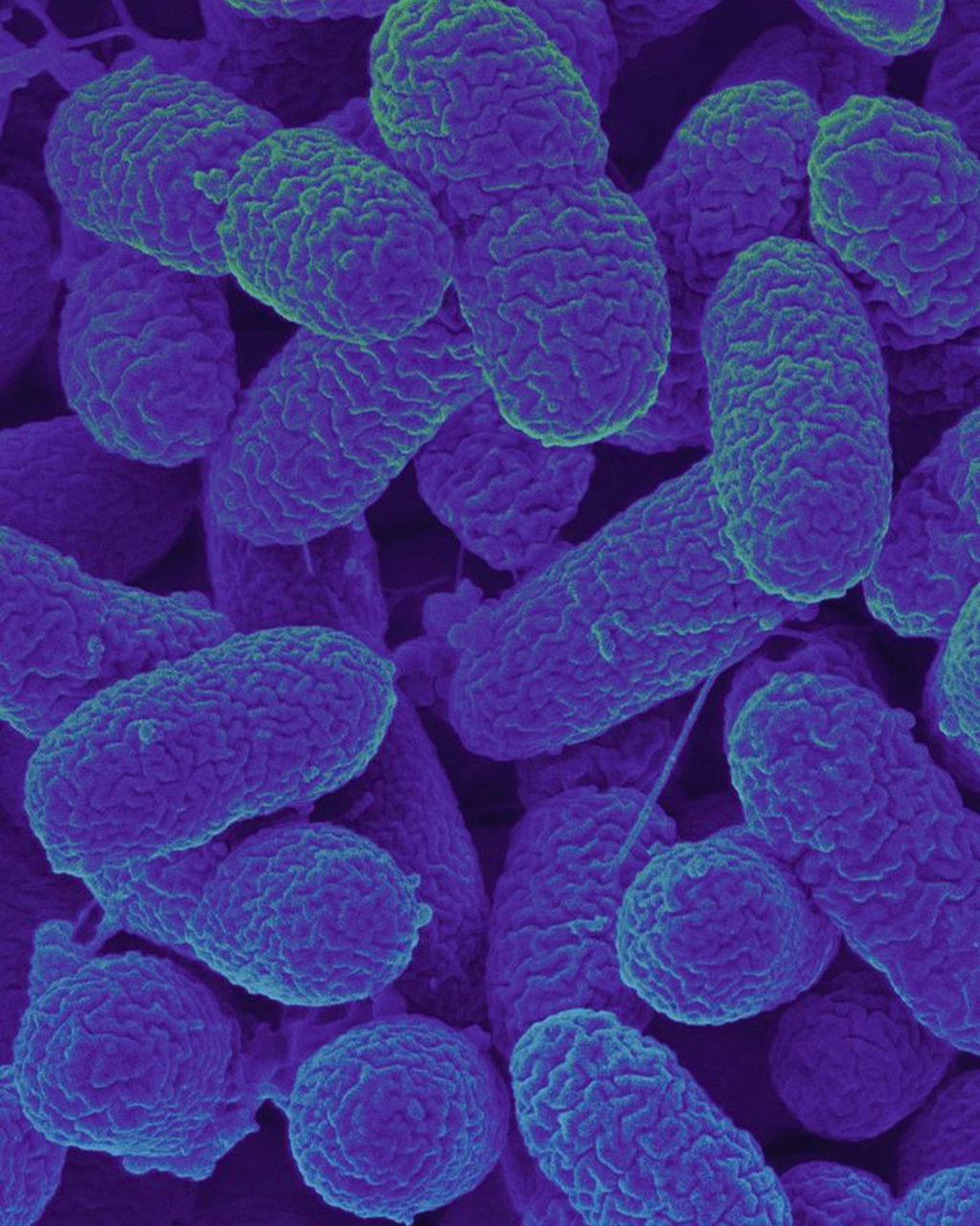 METACONTAMINATION 1